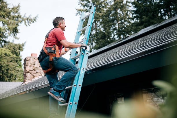 Best Emergency Roof Repair Services  in Paw Paw, MI